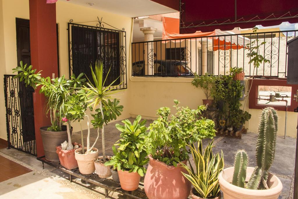 Villa La Casa del Chac Mérida Exterior foto