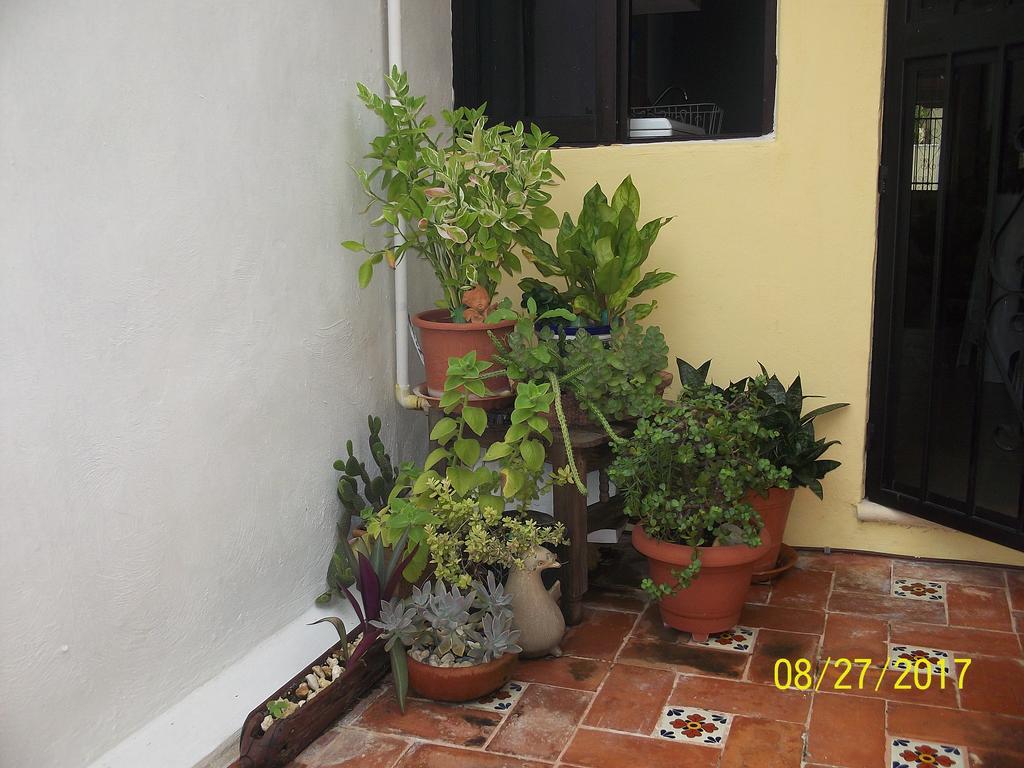 Villa La Casa del Chac Mérida Exterior foto